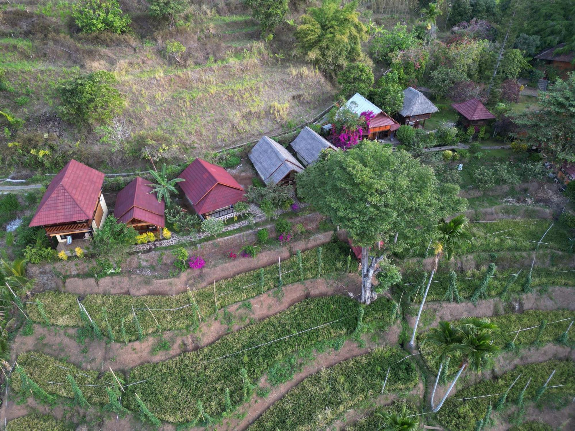 Hotel Rinjani Mountain Garden Bayan Exterior foto
