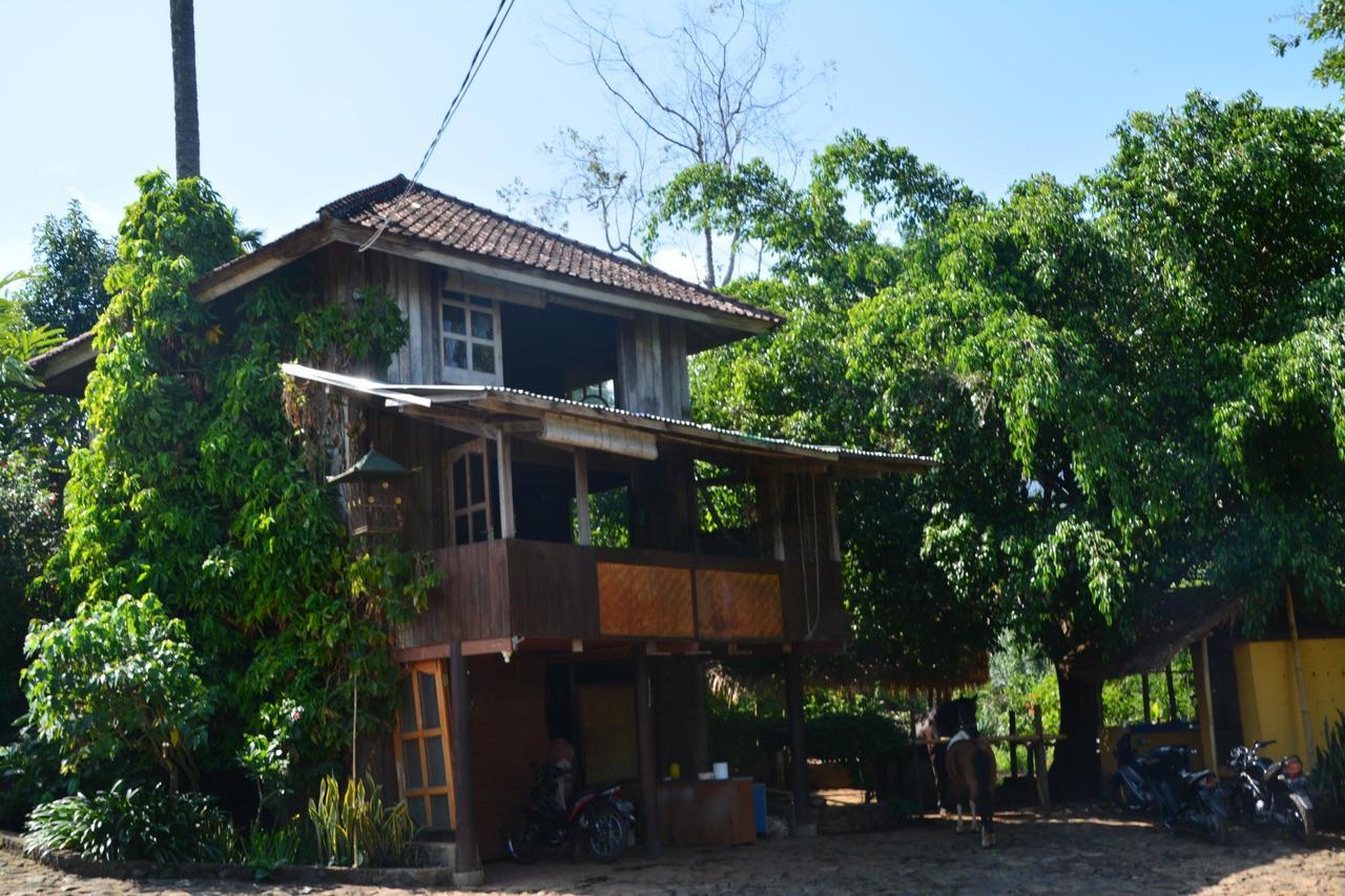Hotel Rinjani Mountain Garden Bayan Exterior foto