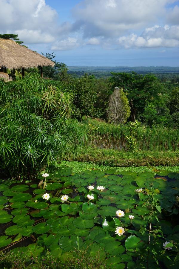 Hotel Rinjani Mountain Garden Bayan Exterior foto