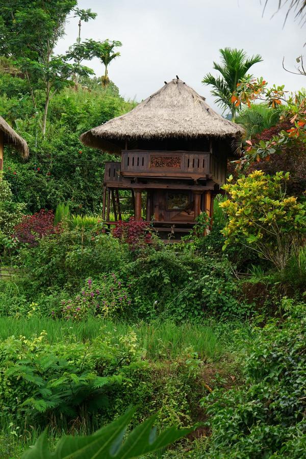 Hotel Rinjani Mountain Garden Bayan Exterior foto