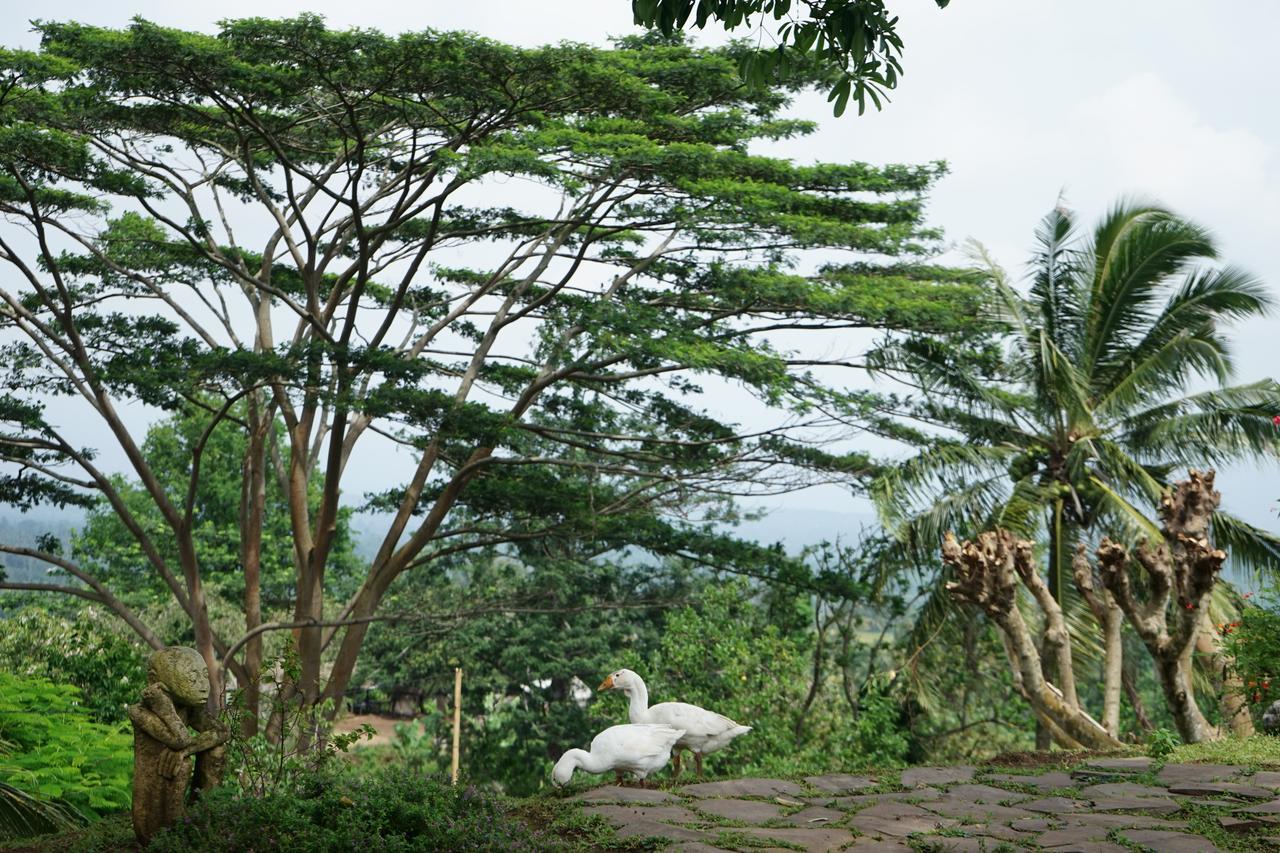 Hotel Rinjani Mountain Garden Bayan Exterior foto