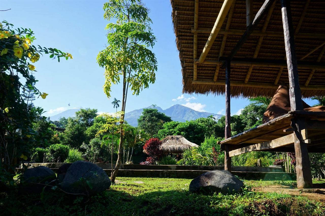 Hotel Rinjani Mountain Garden Bayan Exterior foto