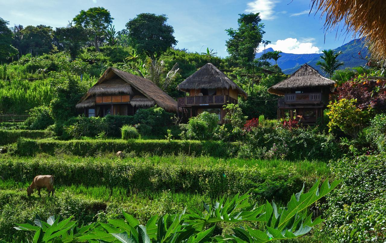 Hotel Rinjani Mountain Garden Bayan Exterior foto